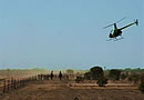 Helicopter Mustering