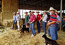 Working Dog School